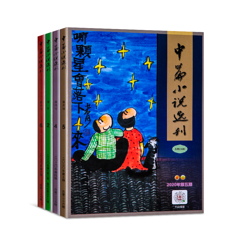 中(zhong)篇小說(shuo)選刊